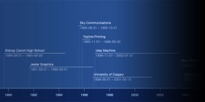 BeeDocs Timeline