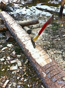 Hewing Wood - material removal with an axe
