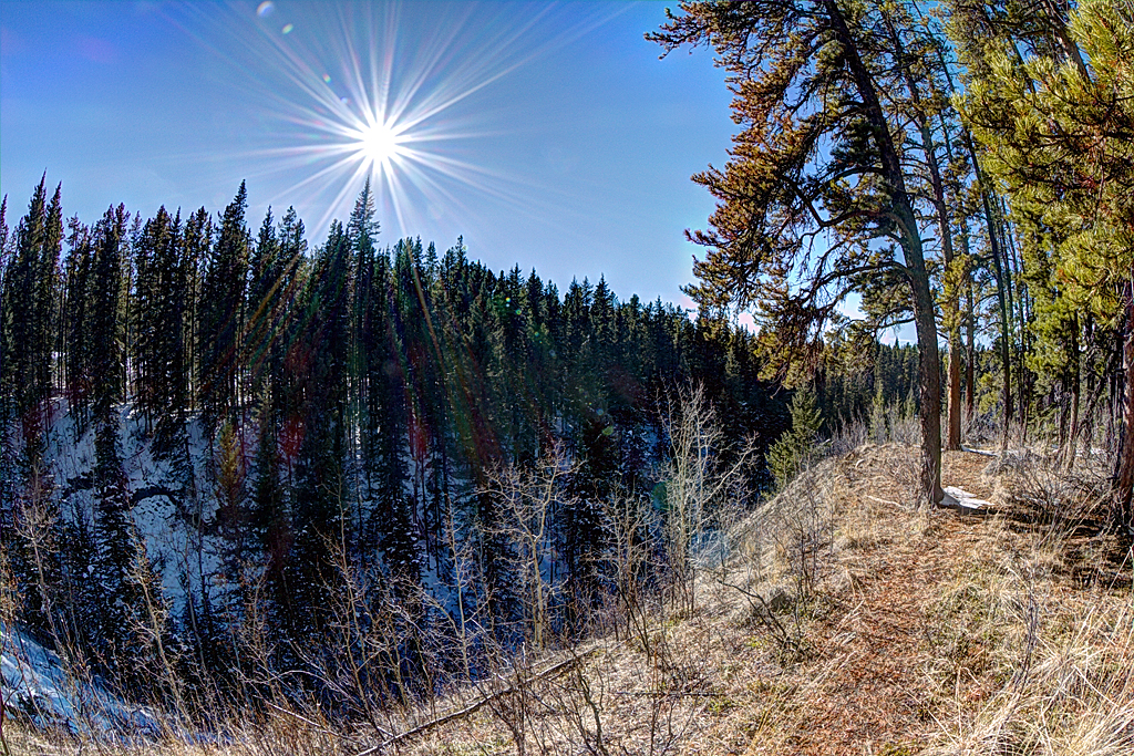 IMG_1276_78_80_fused