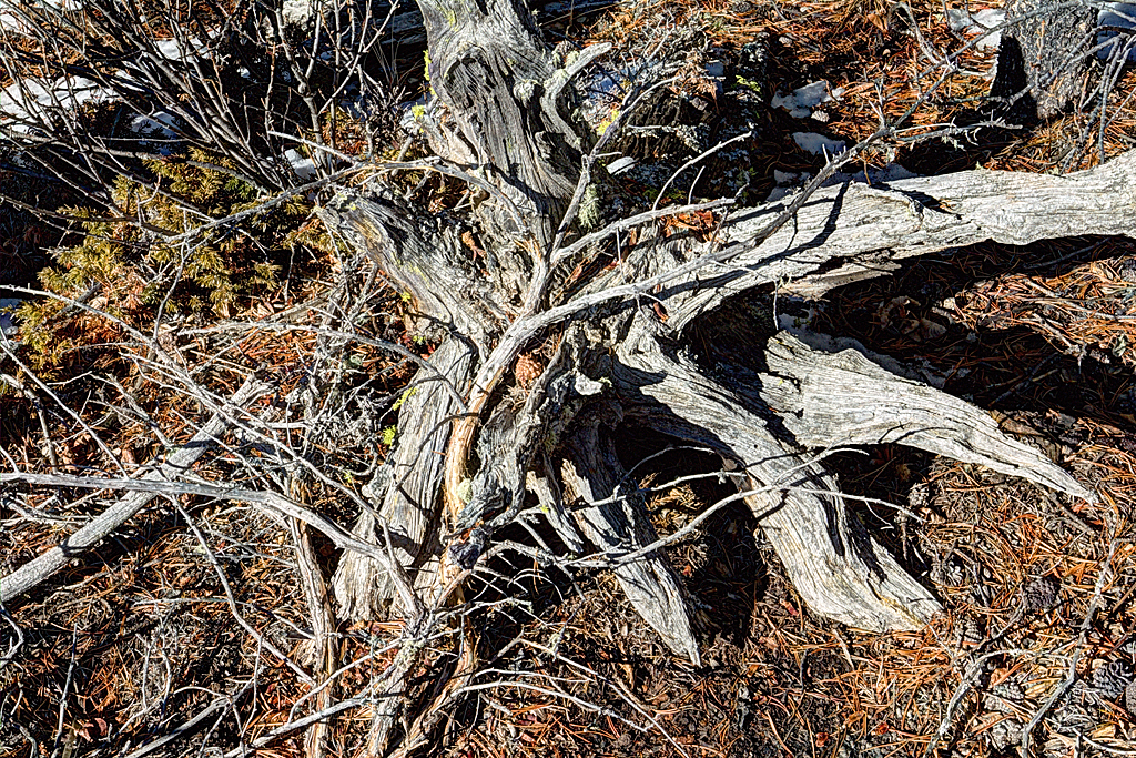 IMG_1288_89_92_fused