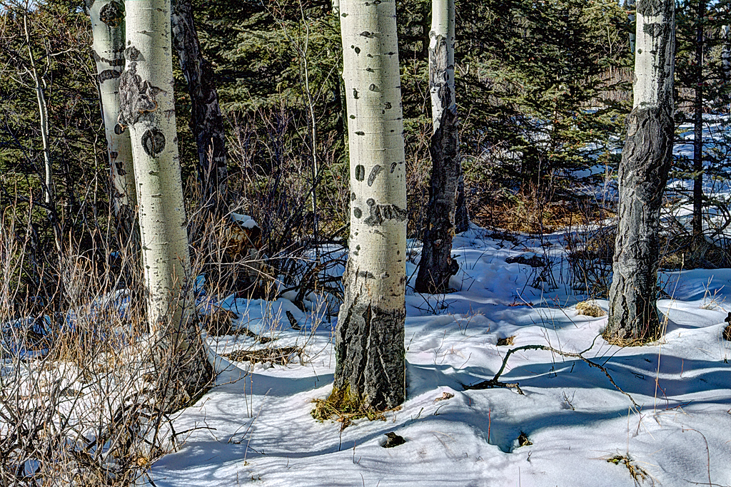 IMG_1298_299_300_fused