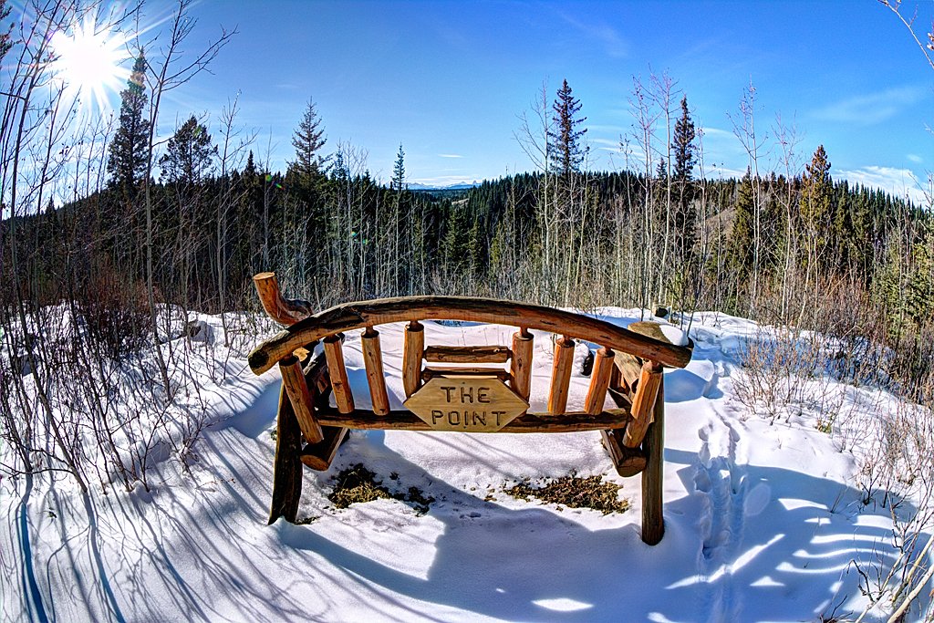 IMG_1311_3_5_fused_1