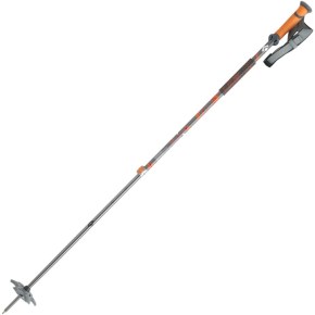 Black Diamond Traverse Poles