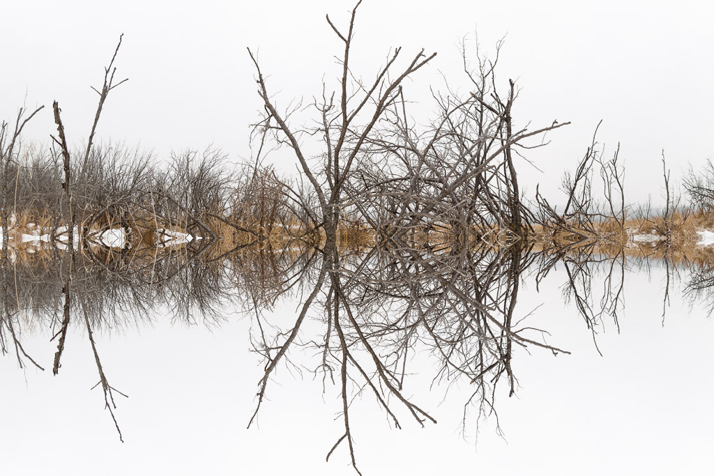 Floating World 2017-03-05 1