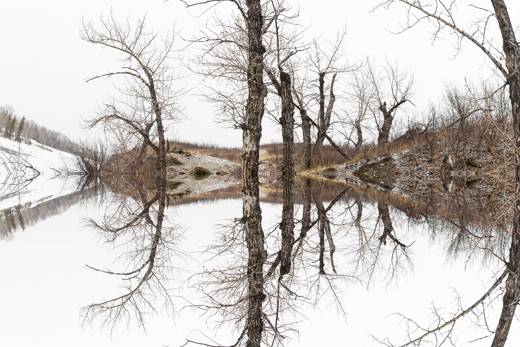 Floating World 2017-03-05 2