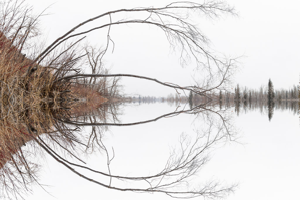 Floating World 2017-03-05 3