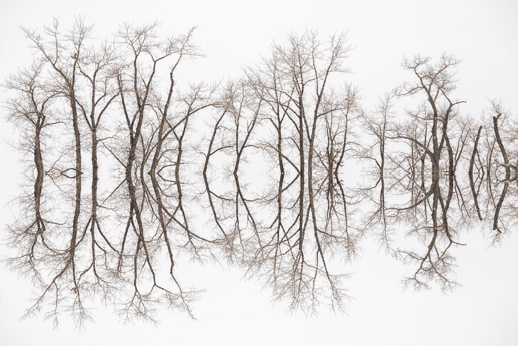 Floating World 2017-03-08 10