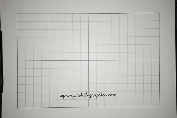 Canon EF80-200mm F2.8L Raw